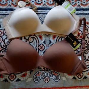 Wacoal Bras 34B